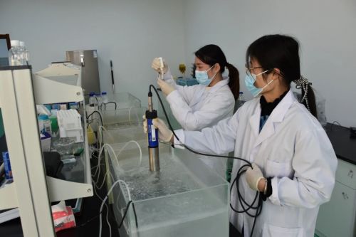 海璟水產榮獲全國水產綠色健康“五大行動”基地稱號，科技賦能引領行業變革